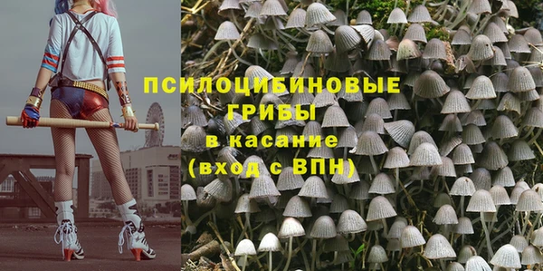 прущие крисы Майский